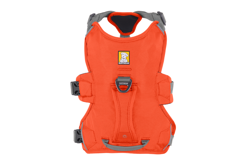 Ruffwear Web Master шлея, яскраво-помаранчева
