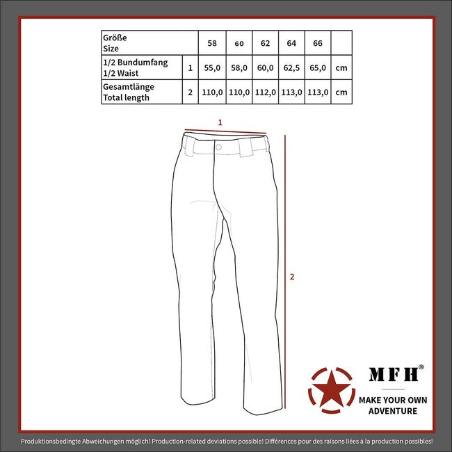 BW Field Pants штани, BW камуфляж, 5 кольорів, великі розміри