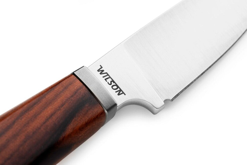 Lionsteel WILLY WL1 ніж з фіксованим лезом та рукояттю з сантоса