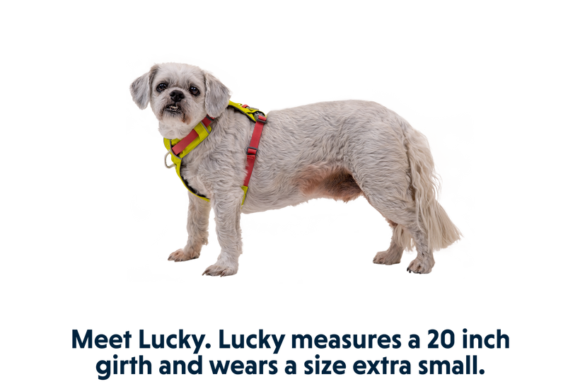 Ruffwear Hi & Light шлея, лаймово-зелена