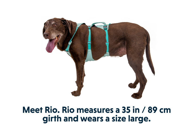 Ruffwear Flagline шлея, шавлієвий зелений