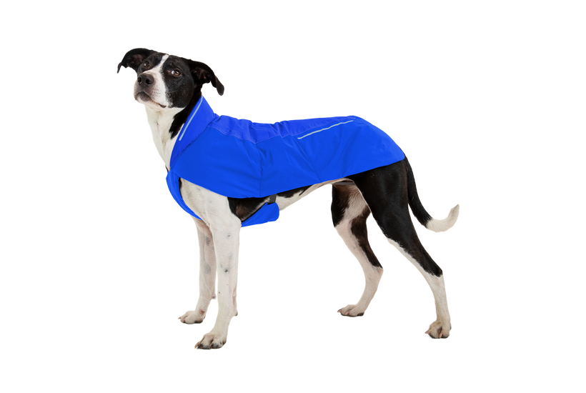 Ruffwear Vert куртка для собаки, синій bassein