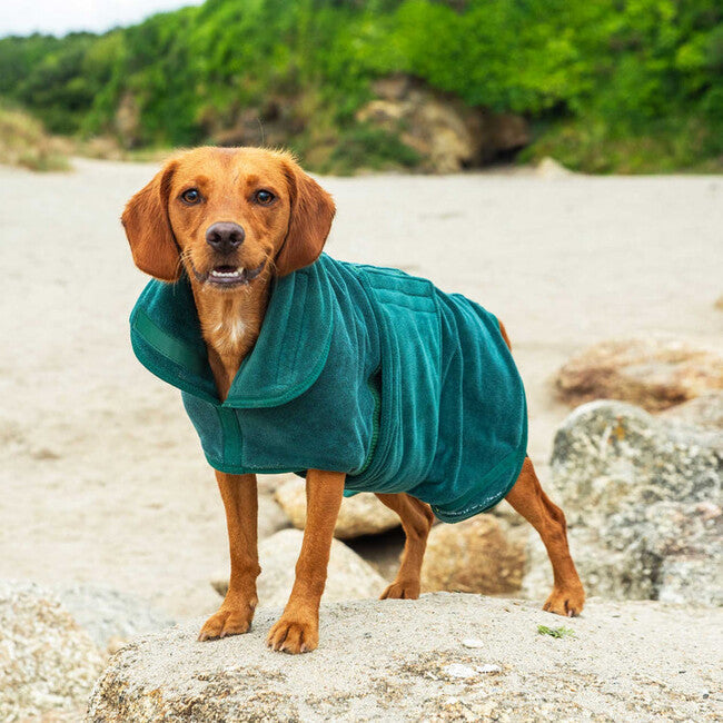 Mountain Paws дивана для собак великих, зелена