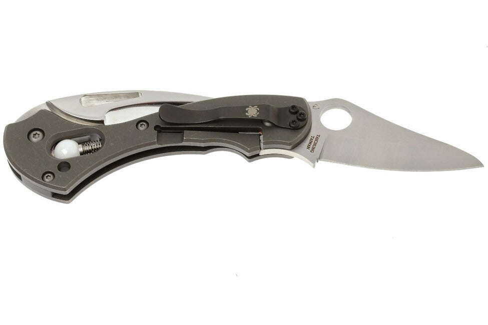 Spyderco Tusk складаний ніж 6 см, сірий, титан