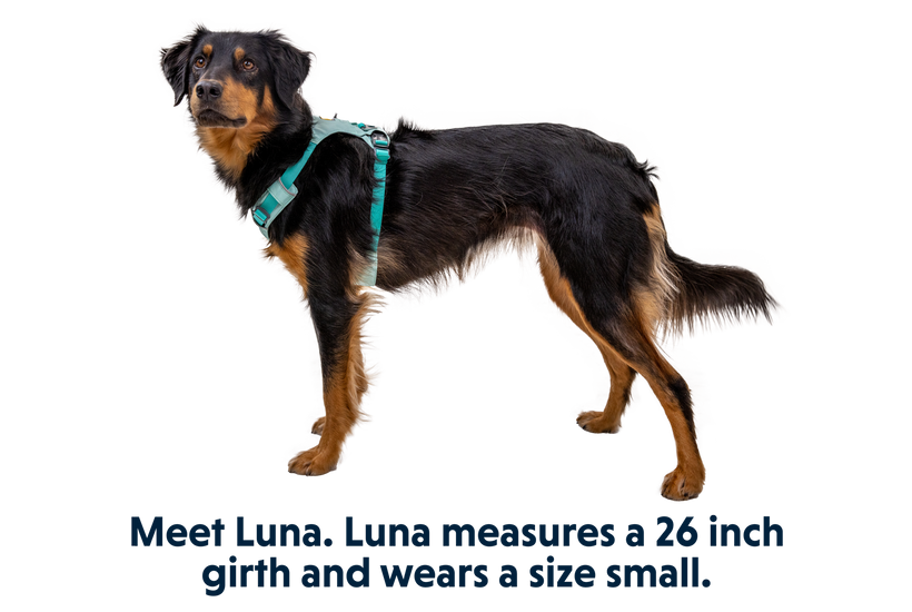 Ruffwear Hi & Light шлея, шавлюве-зелена