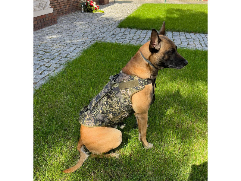 K9 Thorn шлея Cordura, multicam black, L
