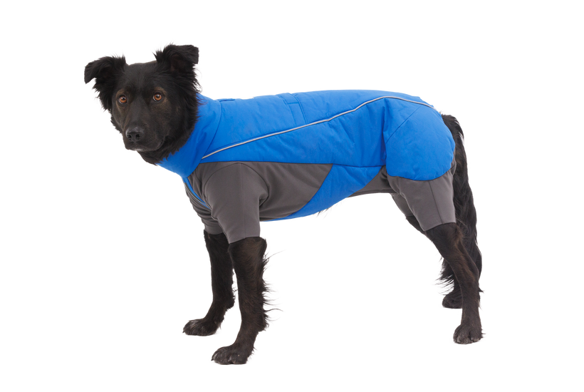 Ruffwear Vert комбінезон для собаки, синій pool