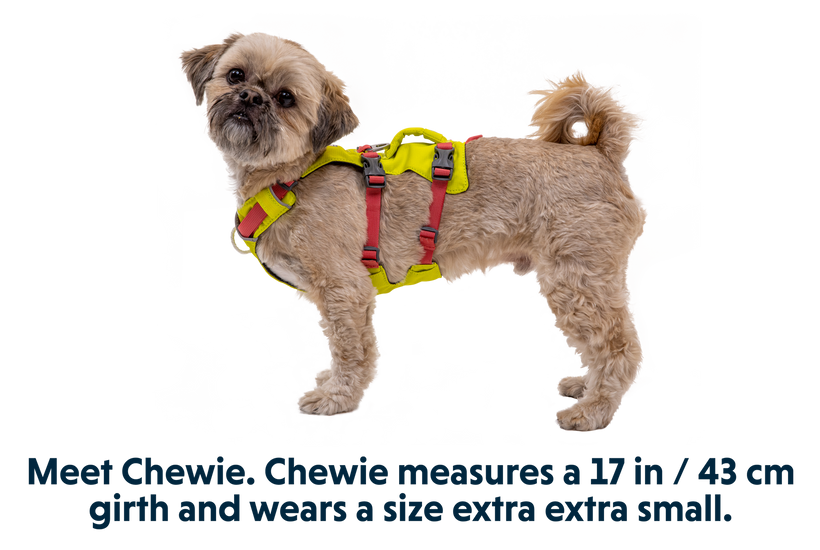 Ruffwear Flagline шлея, лишайниково-зелена