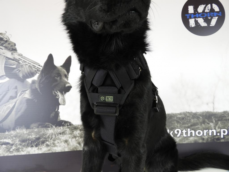K9 Thorn Delta поліцейський жилет, чорний