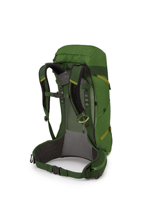 OSPREY Stratos 26 туристичний рюкзак, seaweed/matcha зелений