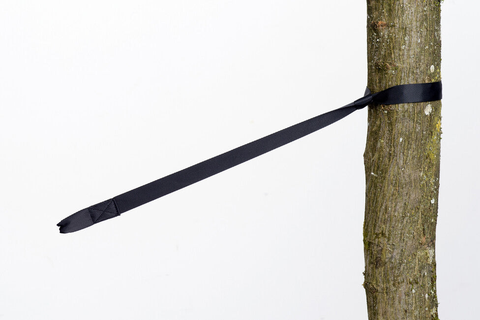 Amazonas tree hugger захист дерев, 2 шт.