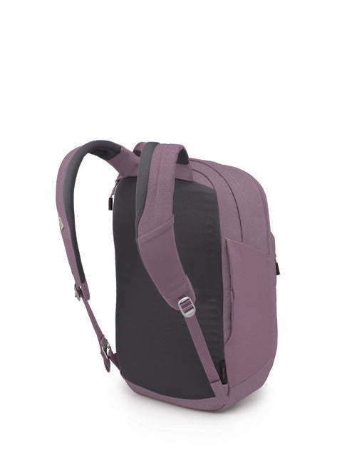 OSPREY ARCANE XL міський рюкзак, фіолетовий