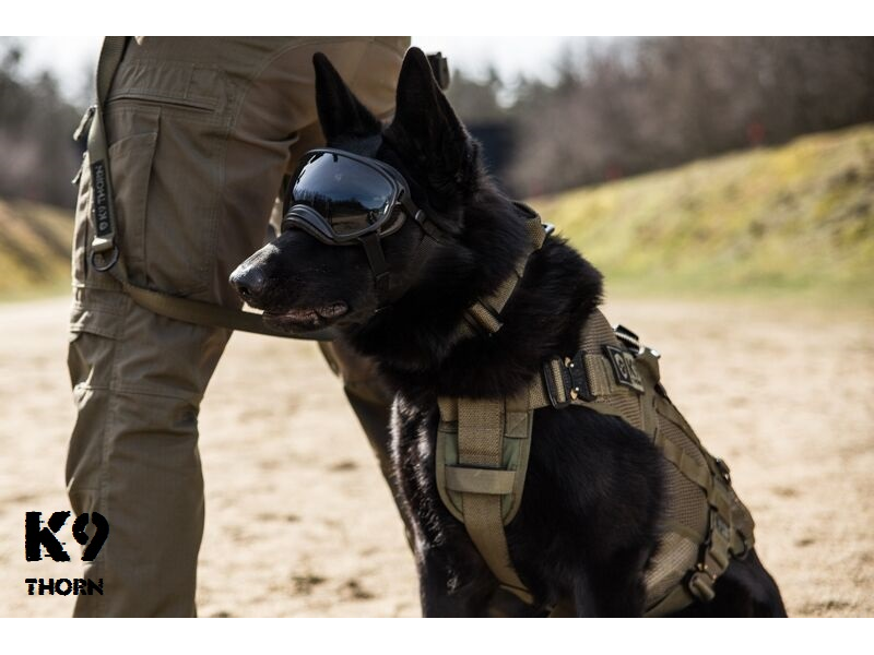 K9 Thorn легкий тактичний портупея, чорна