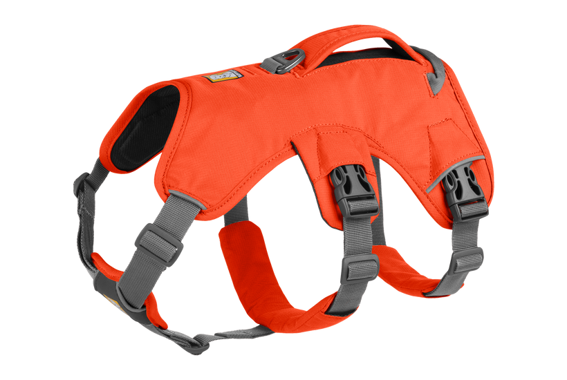 Ruffwear Web Master шлея, яскраво-помаранчева