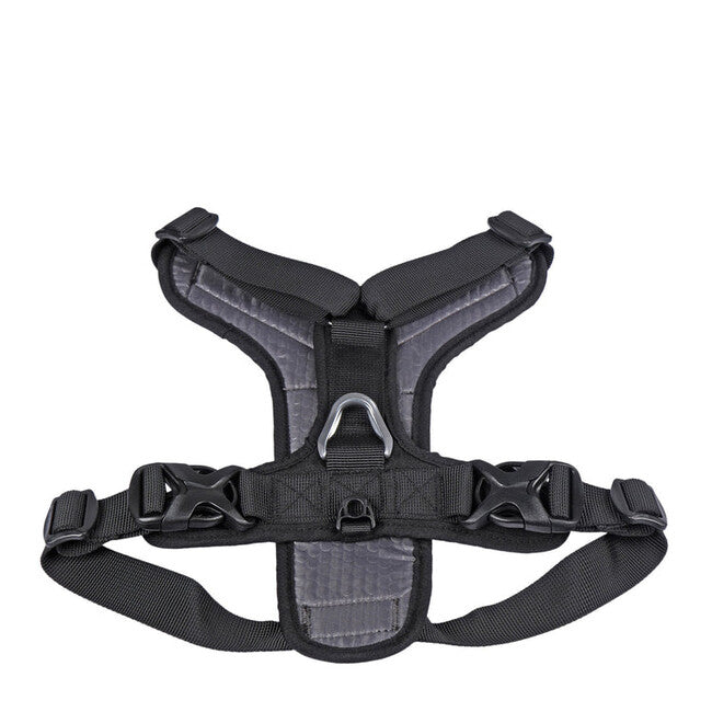 Mountain Paws Dog Harness набивна шлея для собак надвеликого розміру, чорна