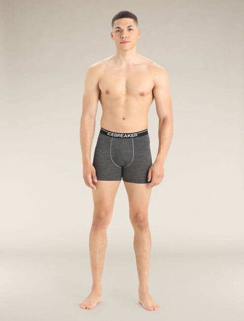 Icebreaker Anatomica чоловічі боксери, сірі