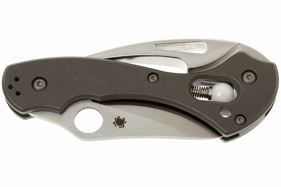 Spyderco Tusk складаний ніж 6 см, сірий, титан