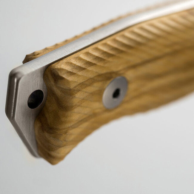 Lionsteel M5 UL середньовельїкий ніж з рукояттю з оливкового дерева