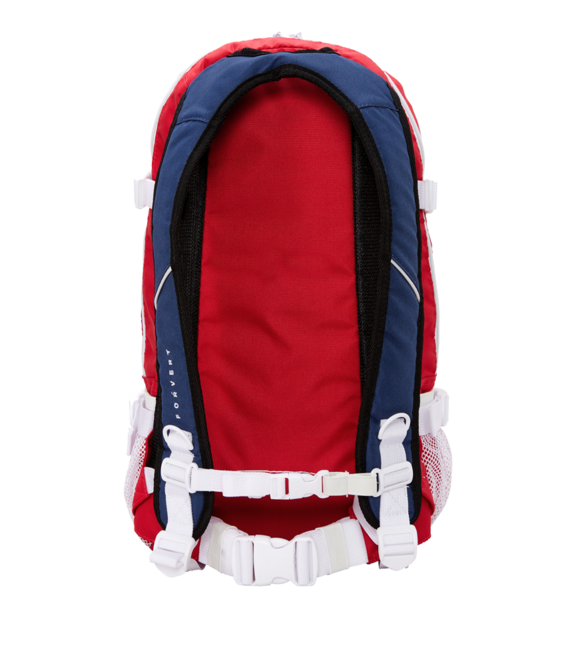Forvert рюкзак Ice Louis 20L, різнокольоровий XVIII