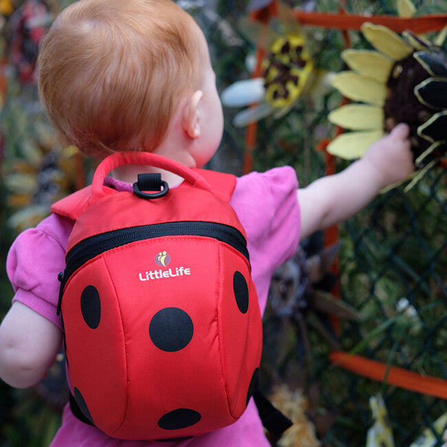 LittleLife рюкзак дитячий 2 л з мотивом божої корівки