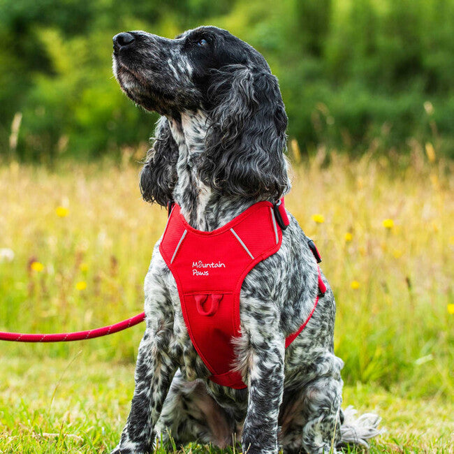 Mountain Paws Dog Harness пояс для собаки з прокладкою, червоний, великий