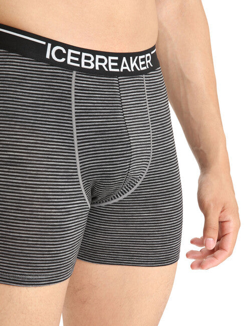 Icebreaker Anatomica чоловічі боксери, сірі