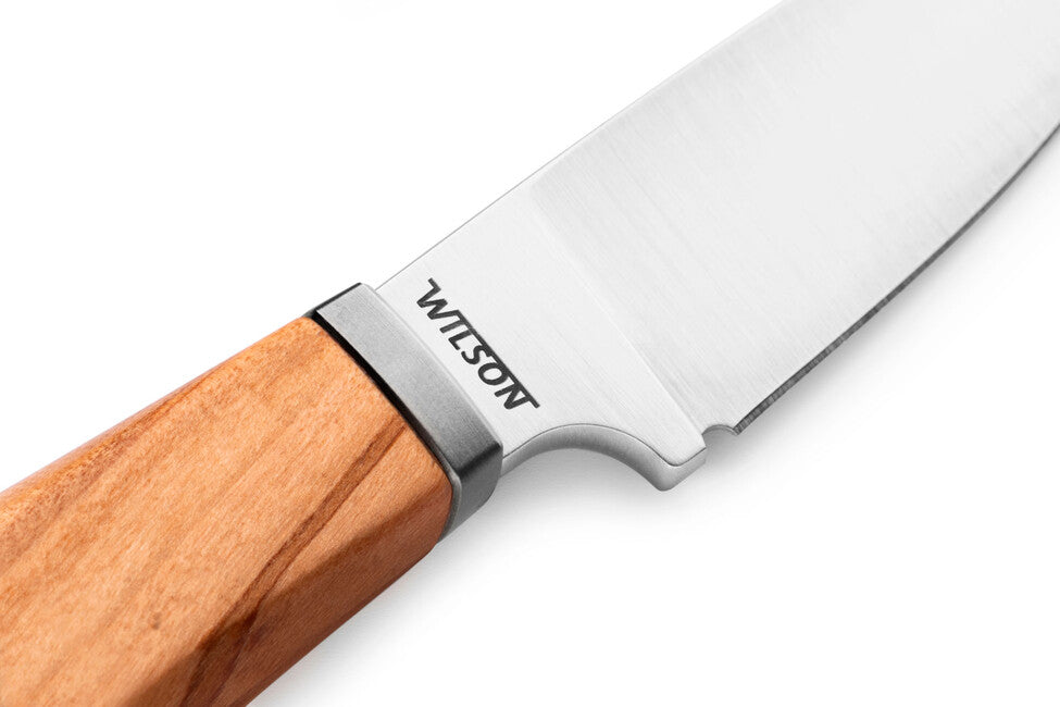 Lionsteel WILLY WL1 UL ніж з фіксованим лезом та рукояттю з оливкового дерева