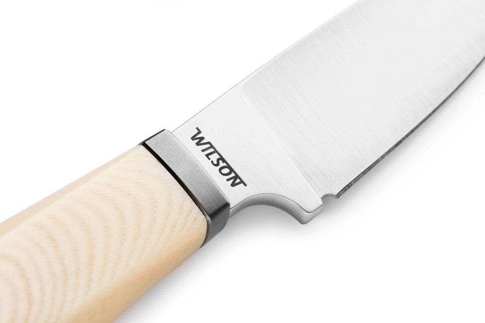 Lionsteel WILLY WL1 ніж з фіксованим лезом і рукояттю з мікарти MW