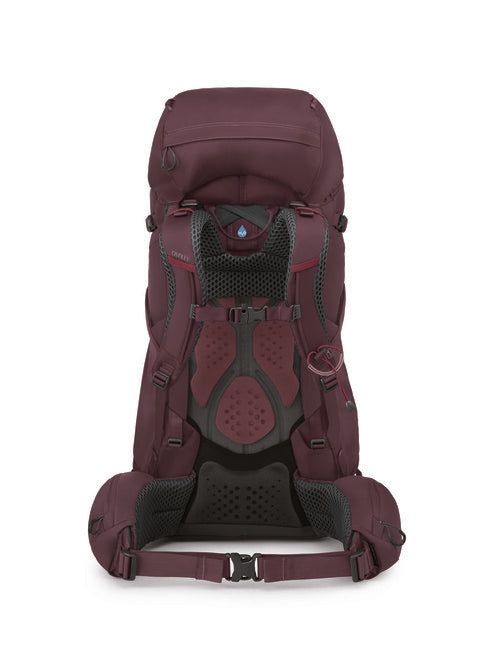 OSPREY KYTE 58 туристичний рюкзак, elderberry пурпурний