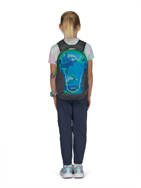 OSPREY daylite jr дитячий рюкзак, northern lights print/eclsp gr