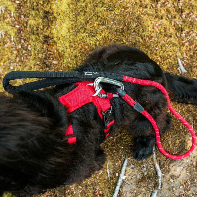 Mountain Paws Dog Harness м'яка шлея для собак, червона, мала