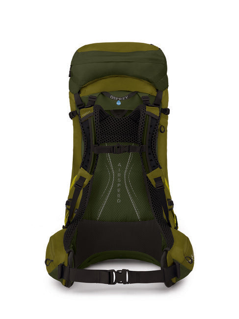 OSPREY ATMOS AG LT 50 туристичний рюкзак, scenic valley/зелений peppercorn
