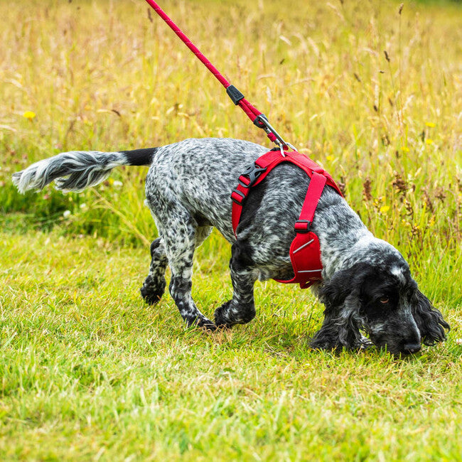 Mountain Paws Dog Harness вмастачена шлея для собак, червона, середня