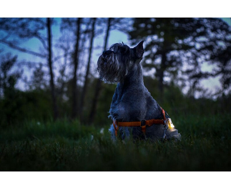 ArmyTek Zippy ES LED ліхтар і брелок комплект, жовтий