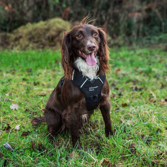 Mountain Paws Dog Harness м'яка шлея для собак, чорна, велика