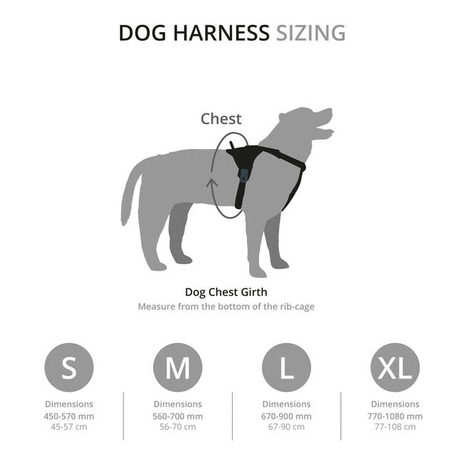 Mountain Paws Dog Harness подушкований шлей для собак середній, чорний