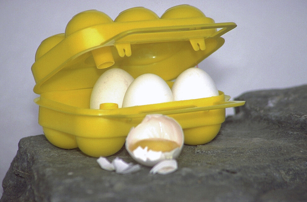 Coghlans CL контейнер для яєць, 6 яєць