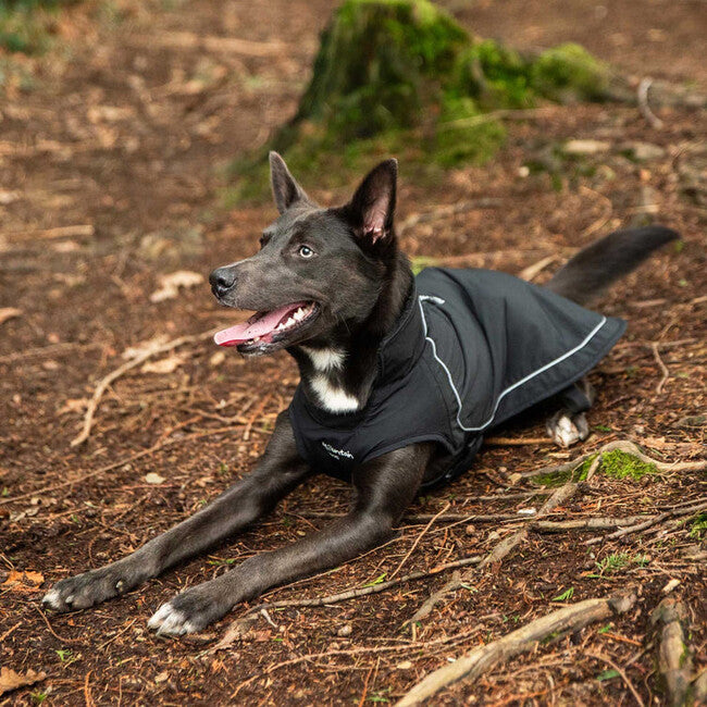 Mountain Paws дощовик для собаки medium