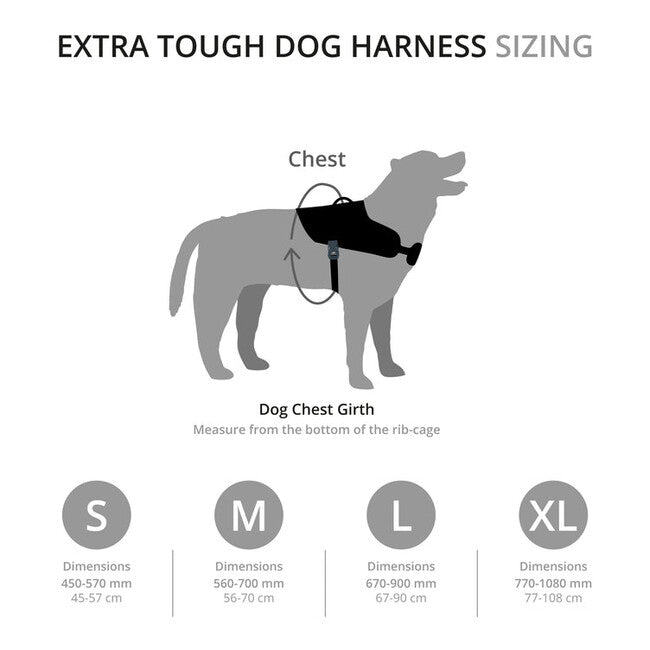 Mountain Paws шлея для собаки, мала