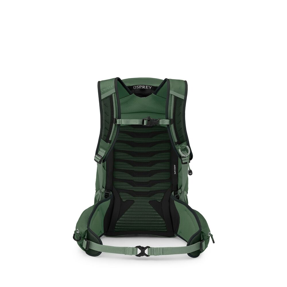 OSPREY TALON 22 turistický batoh, green canopy/pine leaf