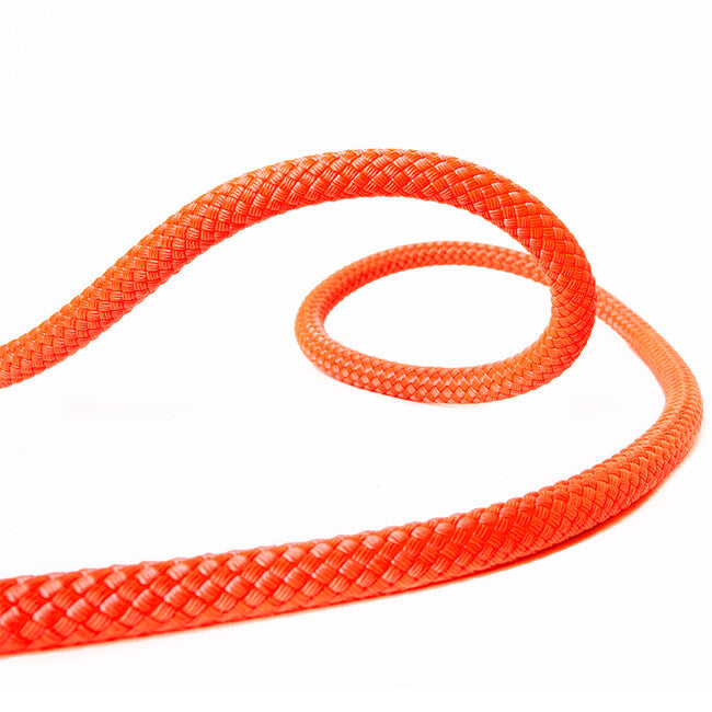 BEAL Pro Canyon horoмотузка 10,3 mm, 60 m