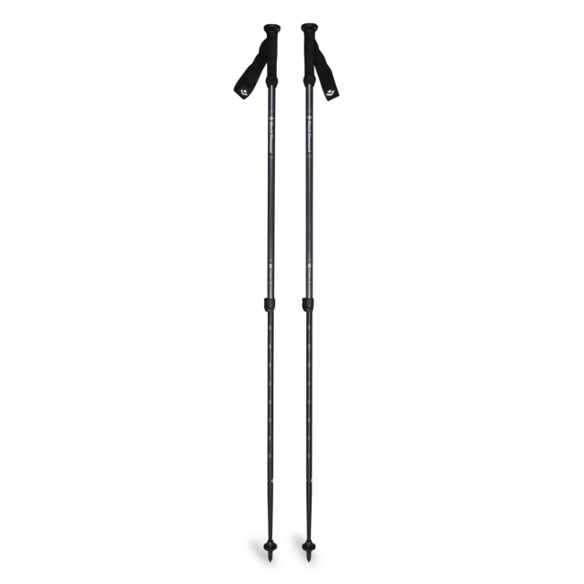 Black Diamond Explorer 2 треккінгові палиці, чорнильно-синій