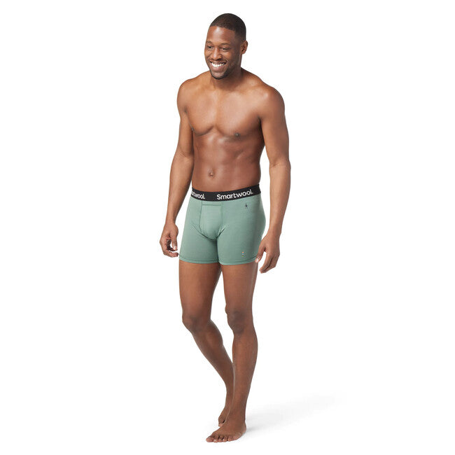 Smartwool M Merino Boxer Brief чоловічі боксери, шавлія