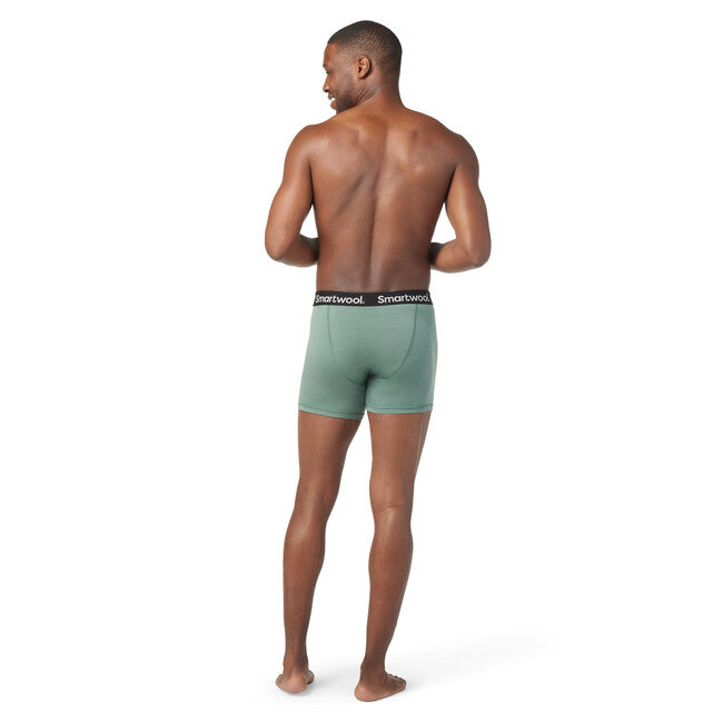 Smartwool M Merino Boxer Brief чоловічі боксери, шавлія