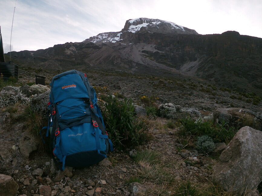 Pinguin Explorer 75 рюкзак Nylon, 75 L, хакі