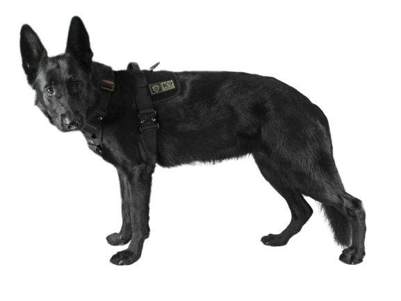 K9 Thorn Delta поліцейський жилет, чорний