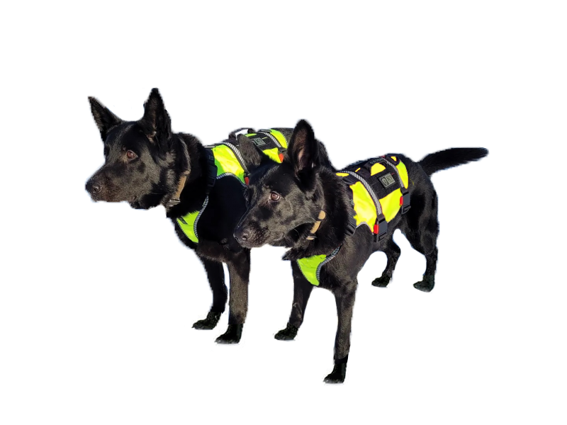 K9 Thorn амуніція ONE, рефлексивна жовта XL