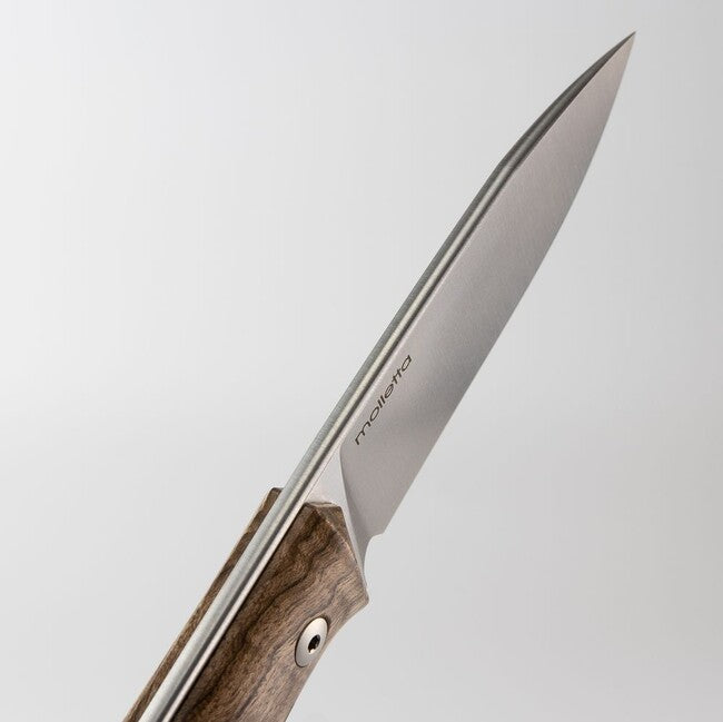Lionsteel B35 WN ніж bushcraft з фіксованим лезом зі сталі Sleipner