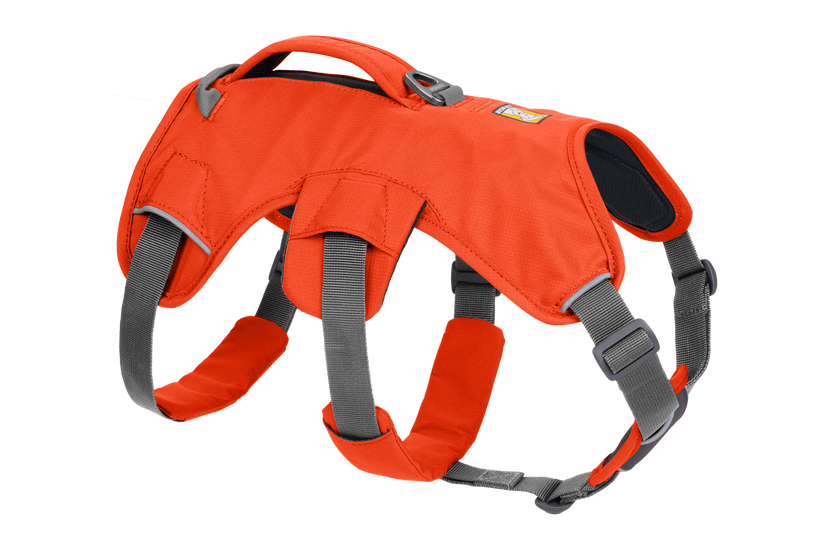 Ruffwear Web Master шлея, яскраво-помаранчева