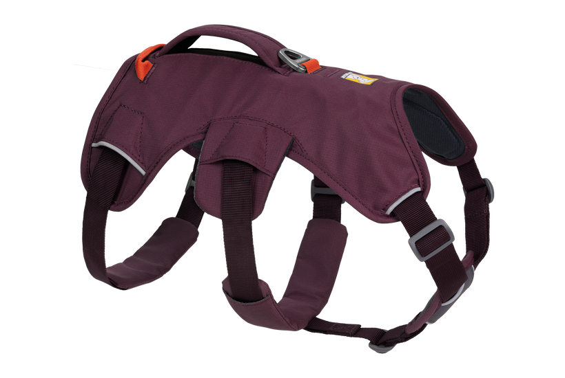 Ruffwear Web Master шлея, пурпурний rain